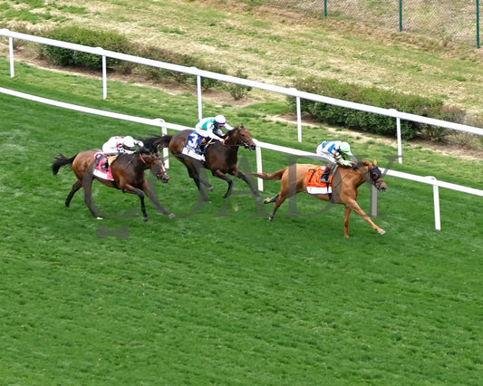 SHE FEELS PRETTY - The Modesty G3 - 05-02-25 - R08 - CD - Aerial Finish 01 Churchill Downs
