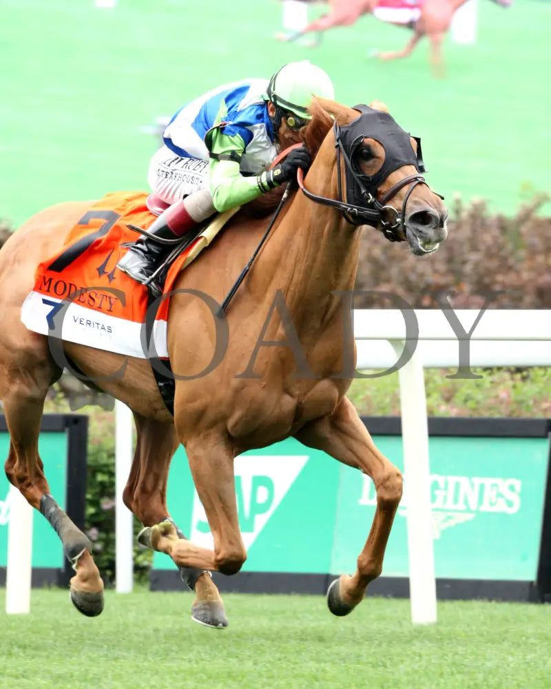 SHE FEELS PRETTY - The Modesty G3 - 05-02-25 - R08 - CD - Finish 04 Churchill Downs