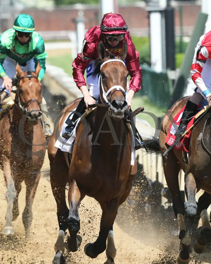 Shedaresthedevil - The La Troienne G1 36Th Running 04-30-21 R08 Cd Gallop Out 01 Kentucky Derby