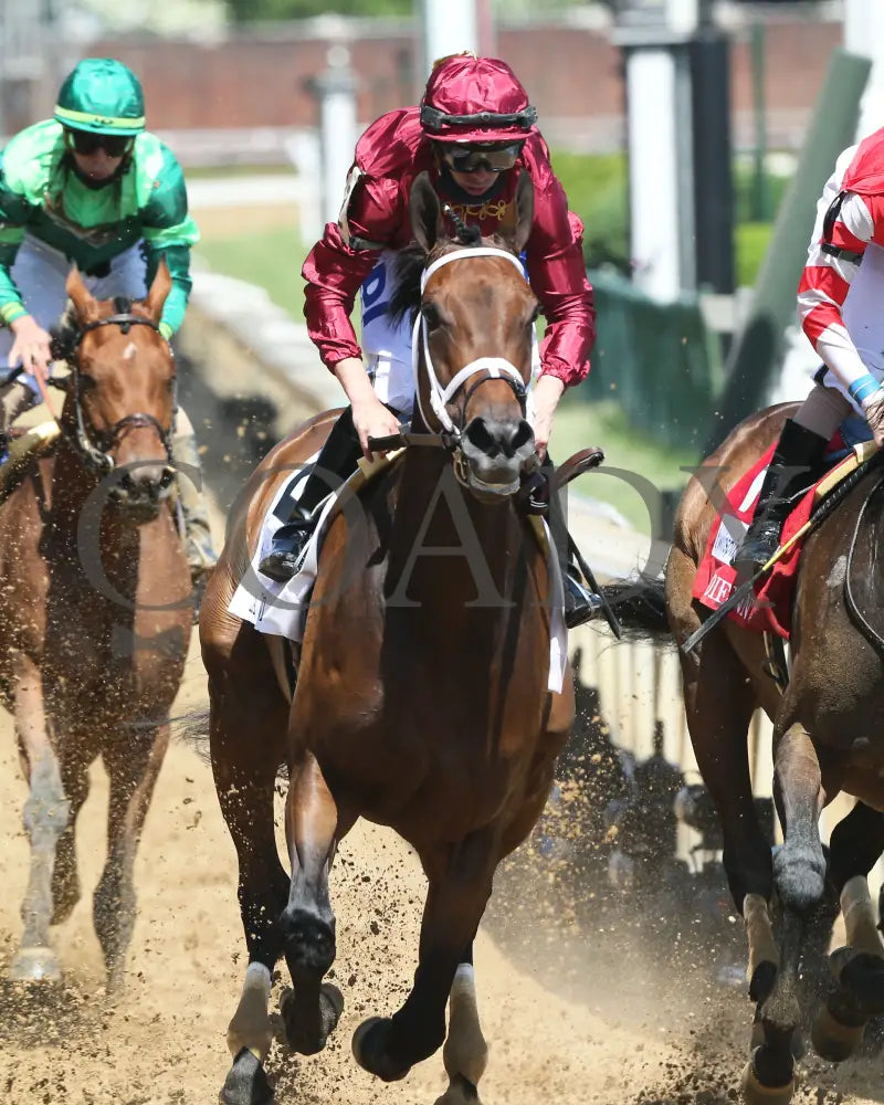 Shedaresthedevil - The La Troienne G1 36Th Running 04-30-21 R08 Cd Gallop Out 01 Kentucky Derby
