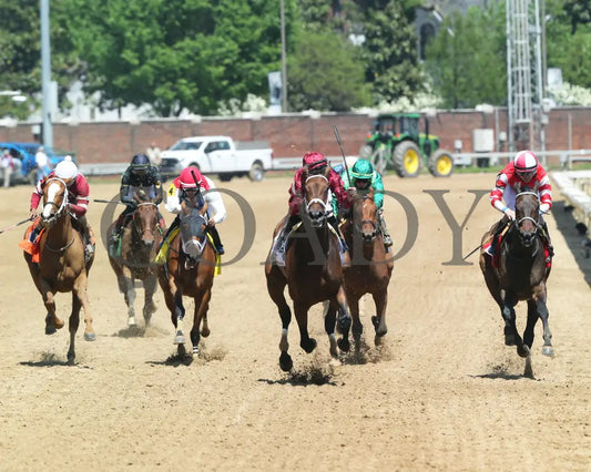 Shedaresthedevil - The La Troienne G1 36Th Running 04-30-21 R08 Cd Head On 01 Kentucky Derby