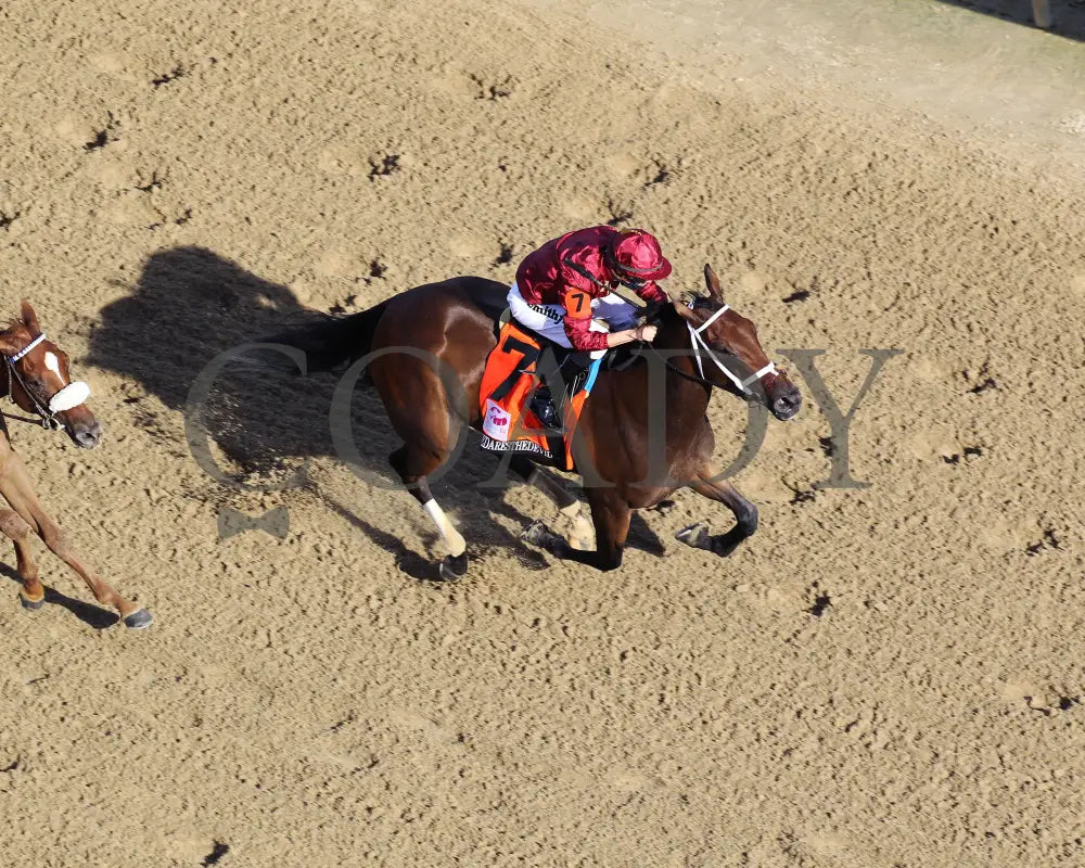 Shedaresthedevil - The Longines Kentucky Oaks 146Th Running 09-04-20 R12 Cd Aerial Finish 01