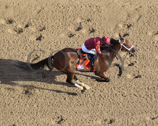Shedaresthedevil - The Longines Kentucky Oaks 146Th Running 09-04-20 R12 Cd Aerial Finish 03