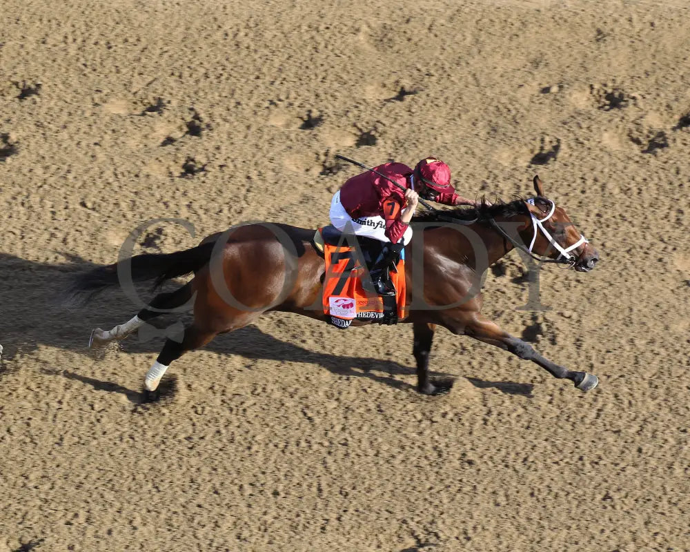 Shedaresthedevil - The Longines Kentucky Oaks 146Th Running 09-04-20 R12 Cd Aerial Finish 04