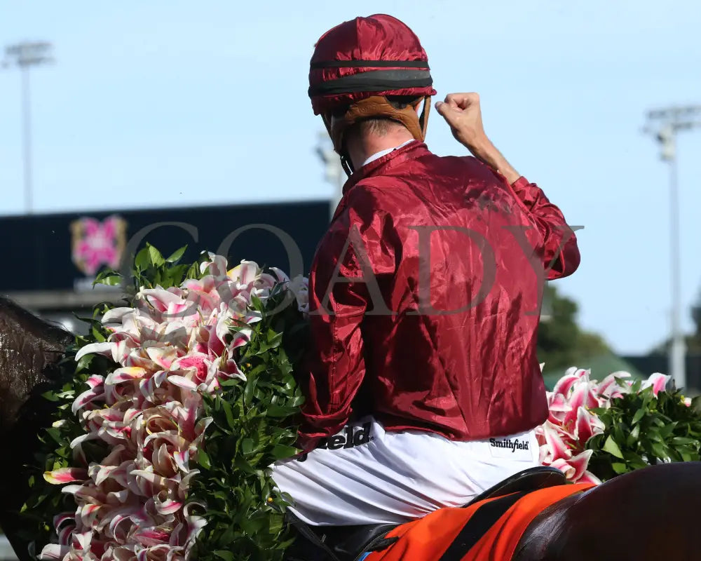 Shedaresthedevil - The Longines Kentucky Oaks 146Th Running 09-04-20 R12 Cd Celebration 01