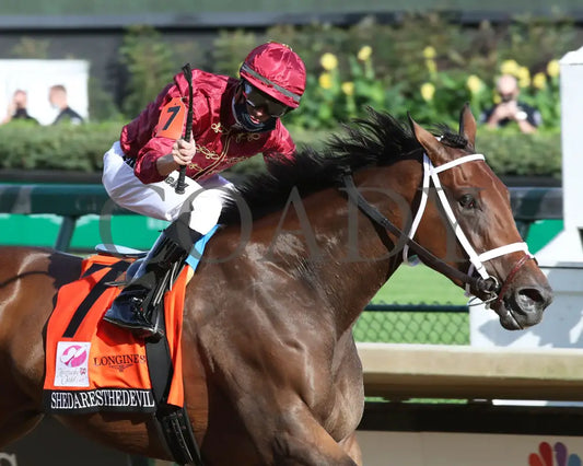 Shedaresthedevil - The Longines Kentucky Oaks 146Th Running 09-04-20 R12 Cd Finish 03 Churchill