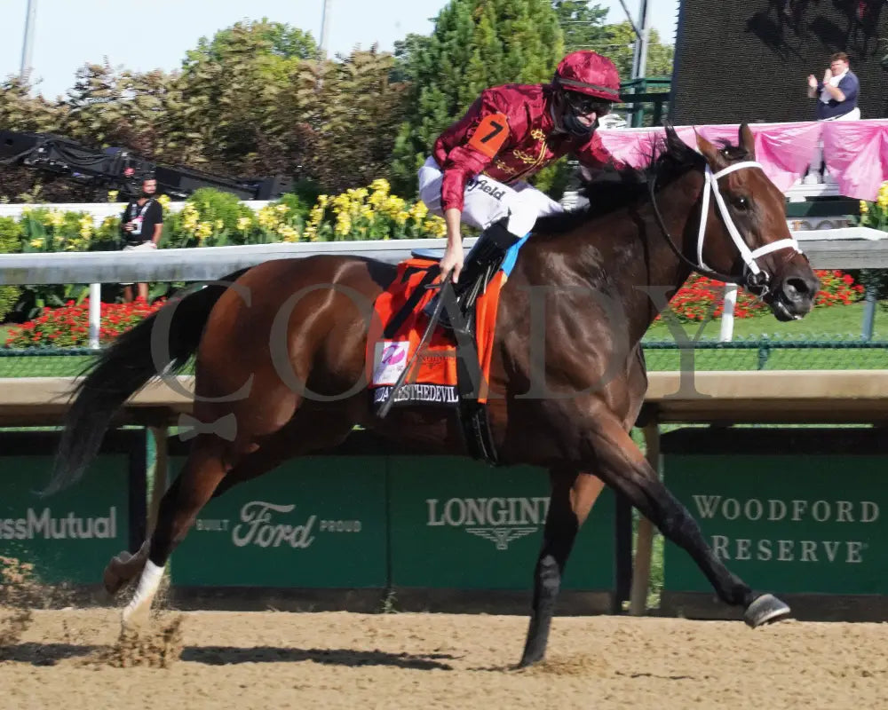 Shedaresthedevil - The Longines Kentucky Oaks 146Th Running 09-04-20 R12 Cd Finish 05 Churchill