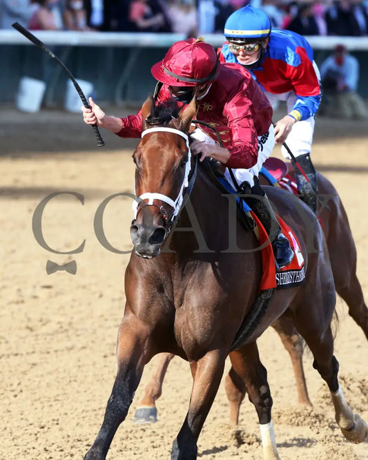 Shedaresthedevil - The Longines Kentucky Oaks 146Th Running 09-04-20 R12 Cd Inside Finish 02
