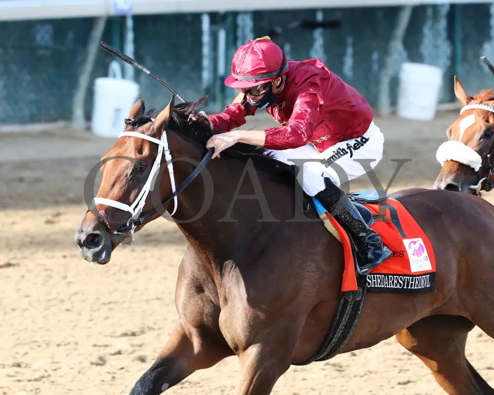 Shedaresthedevil - The Longines Kentucky Oaks 146Th Running 09-04-20 R12 Cd Inside Finish 03
