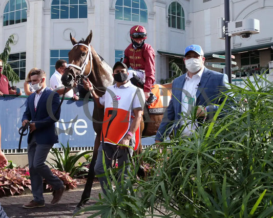 Shedaresthedevil - The Longines Kentucky Oaks 146Th Running 09-04-20 R12 Cd Paddock 02 Churchill