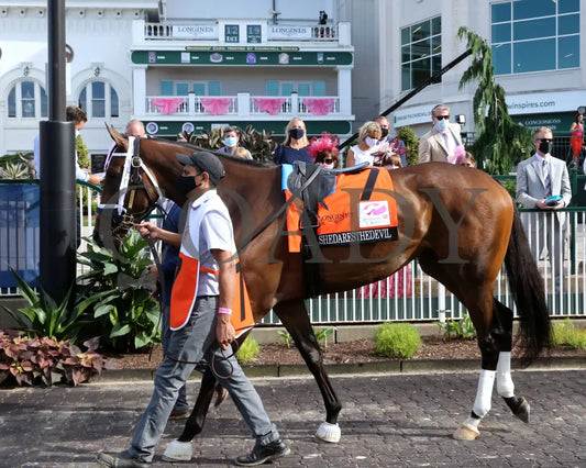 Shedaresthedevil - The Longines Kentucky Oaks 146Th Running 09-04-20 R12 Cd Paddock 03 Churchill