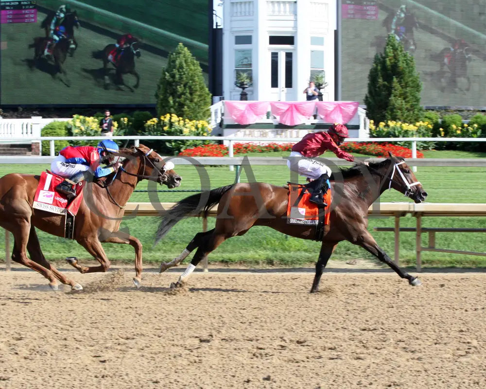 Shedaresthedevil - The Longines Kentucky Oaks 146Th Running 09-04-20 R12 Cd Pagoda Finish 01