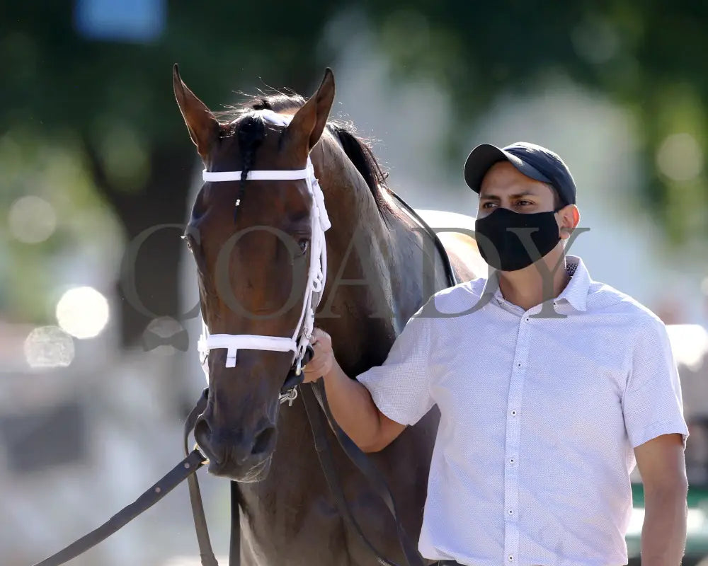 Shedaresthedevil - The Longines Kentucky Oaks 146Th Running 09-04-20 R12 Cd Post Race 01 Churchill
