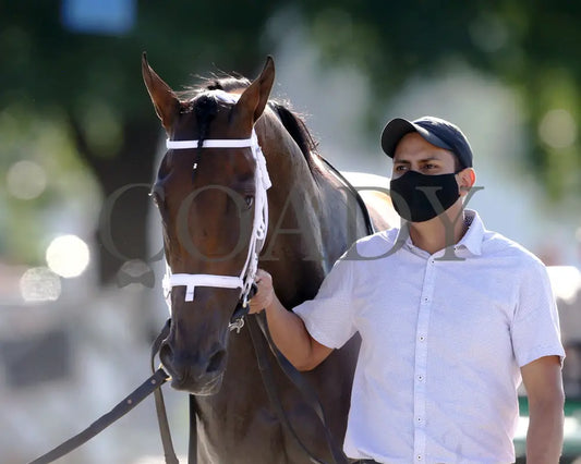 Shedaresthedevil - The Longines Kentucky Oaks 146Th Running 09-04-20 R12 Cd Post Race 01 Churchill