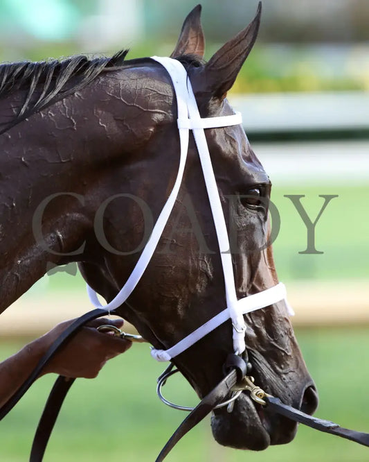 Shedaresthedevil - The Longines Kentucky Oaks 146Th Running 09-04-20 R12 Cd Post Race 01 Churchill
