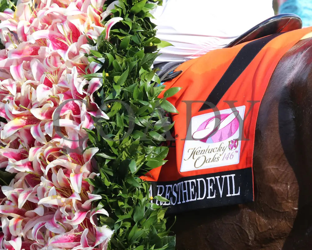 Shedaresthedevil - The Longines Kentucky Oaks 146Th Running 09-04-20 R12 Cd Saddle Towel 01