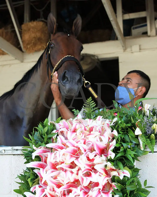 Shedaresthedevil - The Longines Kentucky Oaks 146Th Running 09-04-20 R12 Cd Shedrow 01 Churchill