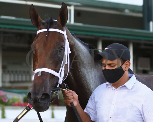 Shedaresthedevil - The Longines Kentucky Oaks 146Th Running 09-04-20 R12 Cd Walk Back 01 Churchill