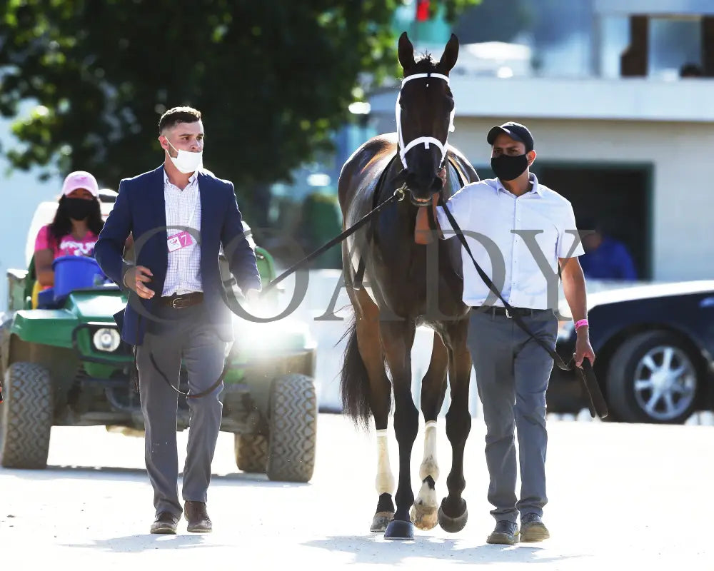 Shedaresthedevil - The Longines Kentucky Oaks 146Th Running 09-04-20 R12 Cd Walk Back 02 Churchill