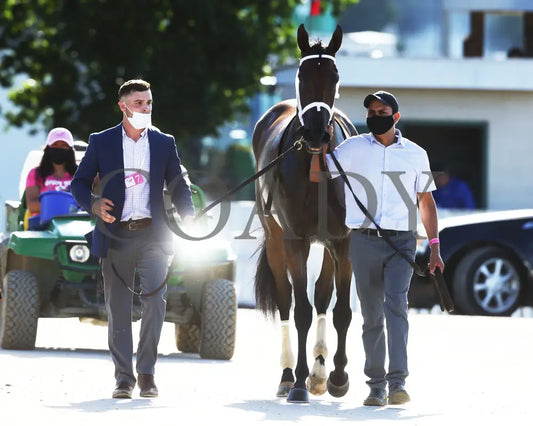 Shedaresthedevil - The Longines Kentucky Oaks 146Th Running 09-04-20 R12 Cd Walk Back 02 Churchill
