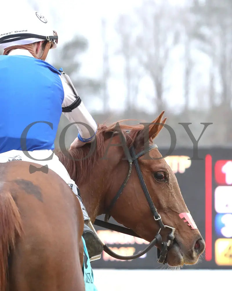 SHEILAHS WARCLOUD - The Stellar Wind Handicap - 03-14-25 - R06 - CNL - Come Back 03 Colonial Downs