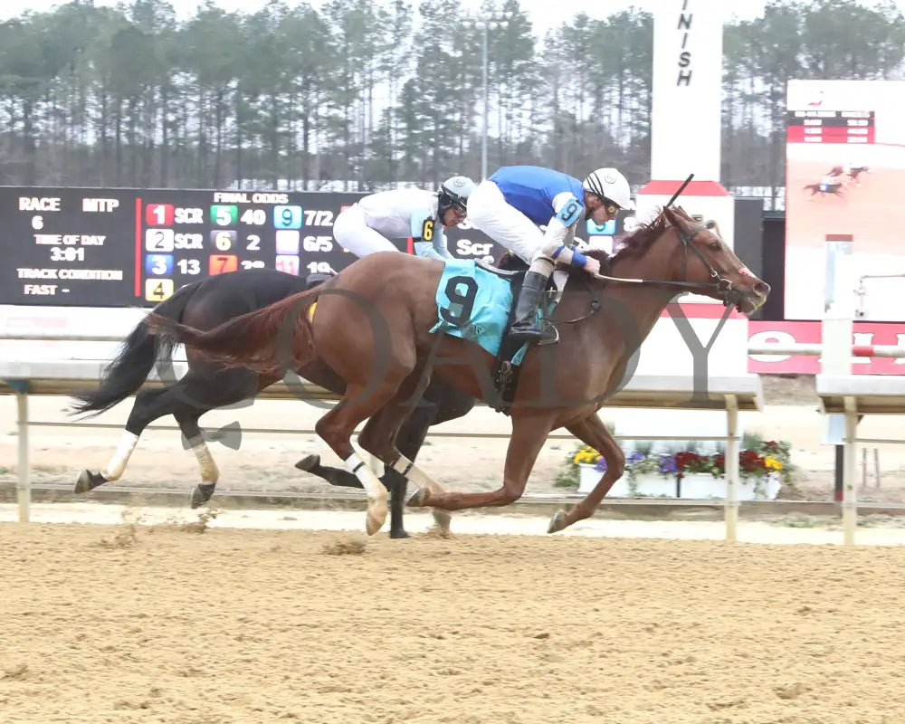 SHEILAHS WARCLOUD - The Stellar Wind Handicap - 03-14-25 - R06 - CNL - Finish 01 Colonial Downs