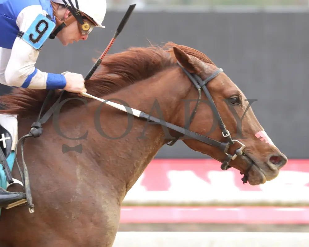 SHEILAHS WARCLOUD - The Stellar Wind Handicap - 03-14-25 - R06 - CNL - Finish 02 Colonial Downs