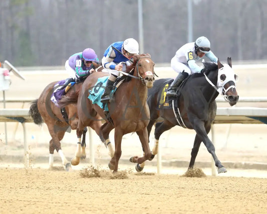 SHEILAHS WARCLOUD - The Stellar Wind Handicap - 03-14-25 - R06 - CNL - Finish 03 Colonial Downs