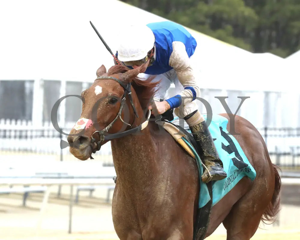 SHEILAHS WARCLOUD - The Stellar Wind Handicap - 03-14-25 - R06 - CNL - Inside Finish 01 Colonial Downs