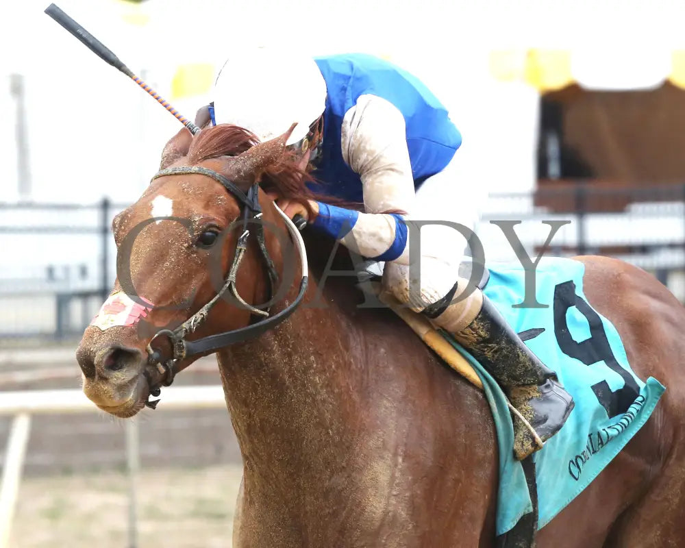 SHEILAHS WARCLOUD - The Stellar Wind Handicap - 03-14-25 - R06 - CNL - Inside Finish 02 Colonial Downs