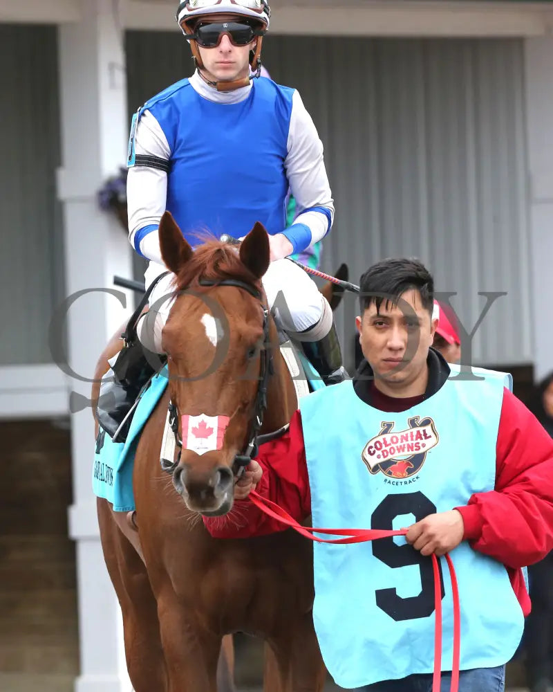 SHEILAHS WARCLOUD - The Stellar Wind Handicap - 03-14-25 - R06 - CNL - Paddock 01 - Coady Media - Kurtis Coady Photography