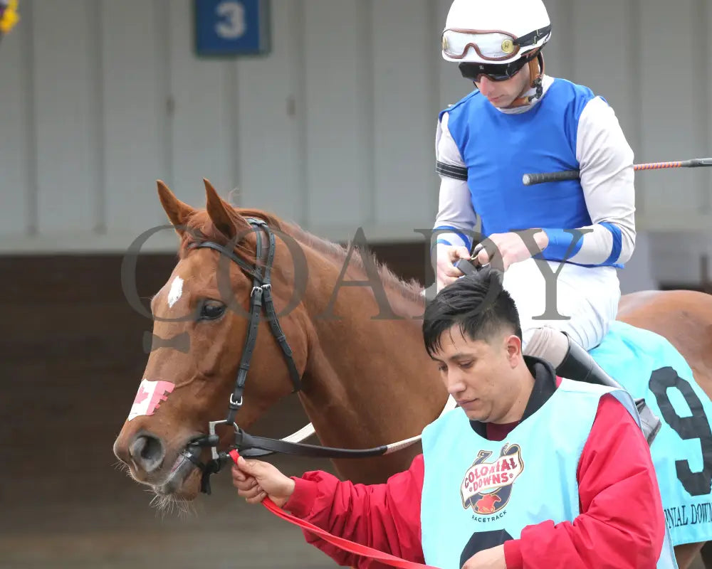SHEILAHS WARCLOUD - The Stellar Wind Handicap - 03-14-25 - R06 - CNL - Paddock 04 Colonial Downs