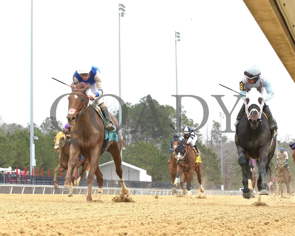 SHEILAHS WARCLOUD - The Stellar Wind Handicap - 03-14-25 - R06 - CNL - Under Rail 01 Colonial Downs
