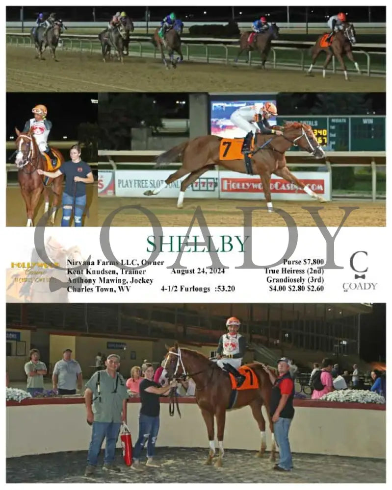 Shellby - 08-24-24 R08 Ct Hollywood Casino At Charles Town Races