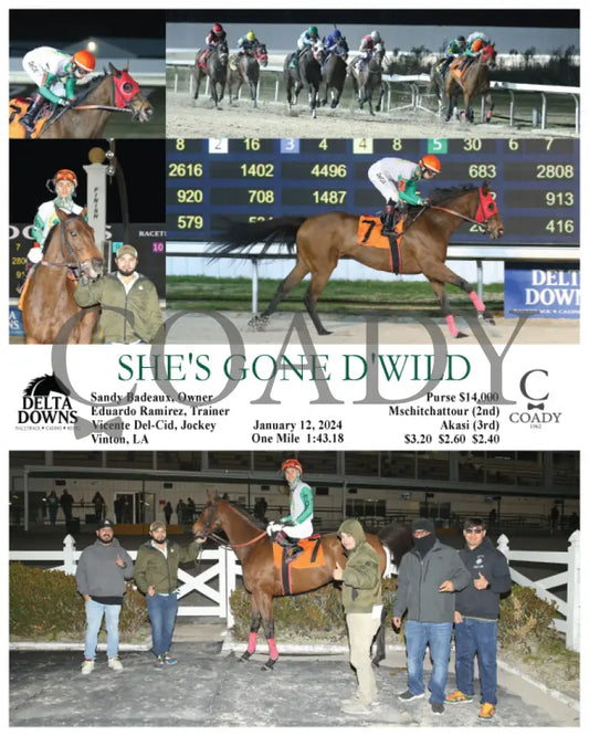 She’s Gone D’wild - 01-12-24 R06 Ded Delta Downs
