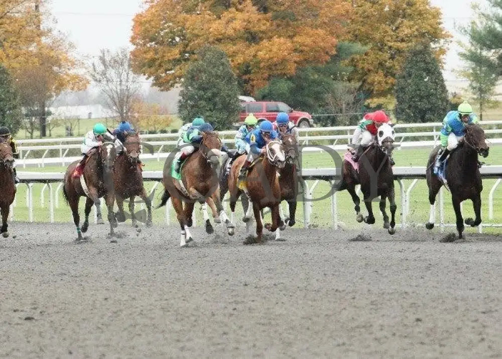 She’s Picky - 1 102711 Race 06 Keeneland