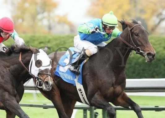 She’s Picky - 2 102711 Race 06 Keeneland
