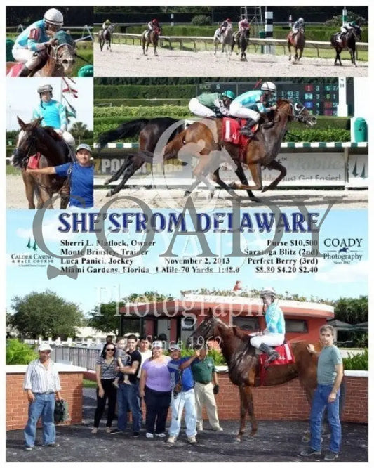 She’sfrom Delaware - 110213 Race 06 Crc Calder Course