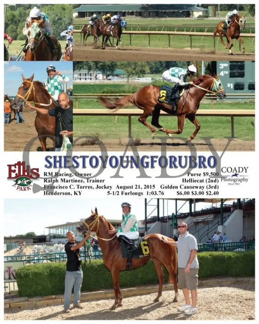Shestoyoungforubro - 082115 Race 06 Elp Ellis Park