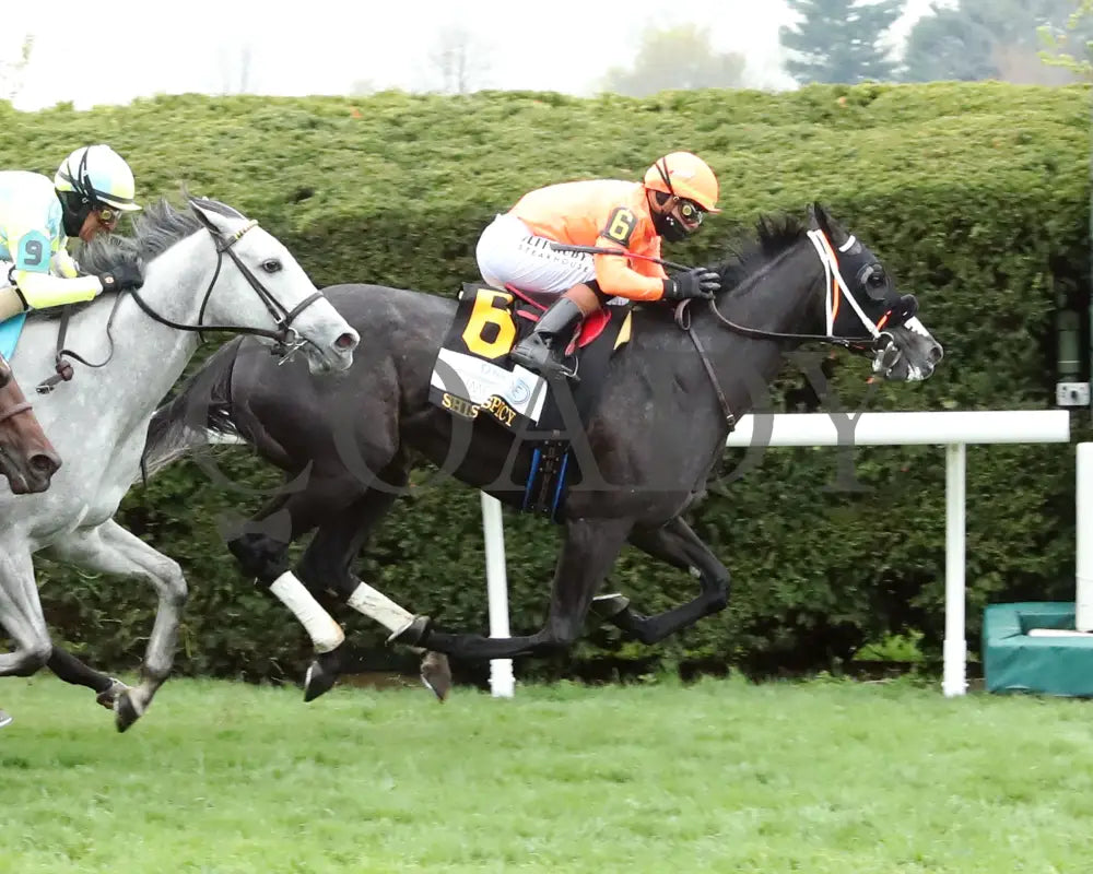 SHISOSPICY - FanDuel Limestone - 04-11-25 - R07 - KEE - Finish 01 Keeneland