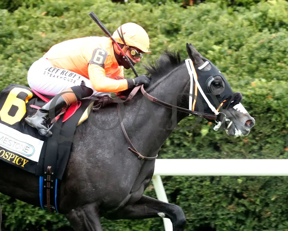 SHISOSPICY - FanDuel Limestone - 04-11-25 - R07 - KEE - Finish 02 Keeneland
