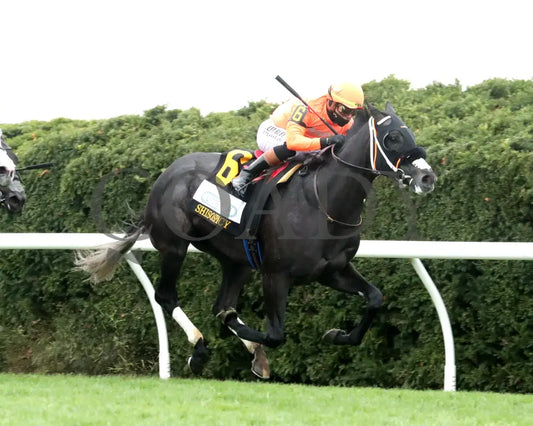 SHISOSPICY - FanDuel Limestone - 04-11-25 - R07 - KEE - Finish 03 Keeneland