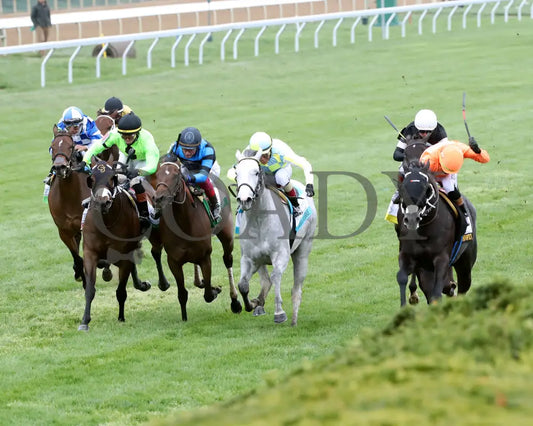 SHISOSPICY - FanDuel Limestone - 04-11-25 - R07 - KEE - Inside Finish 01 Keeneland