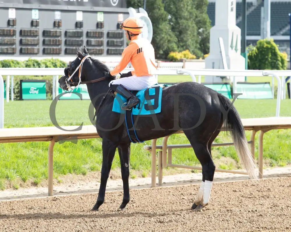 SHISOSPICY - The Mamzelle G3 - 05-10-25 - R10 - CD - Come Back 01 Churchill Downs