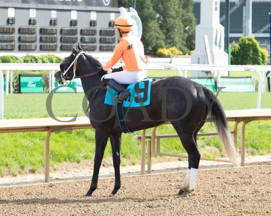 SHISOSPICY - The Mamzelle G3 - 05-10-25 - R10 - CD - Come Back 01 Churchill Downs