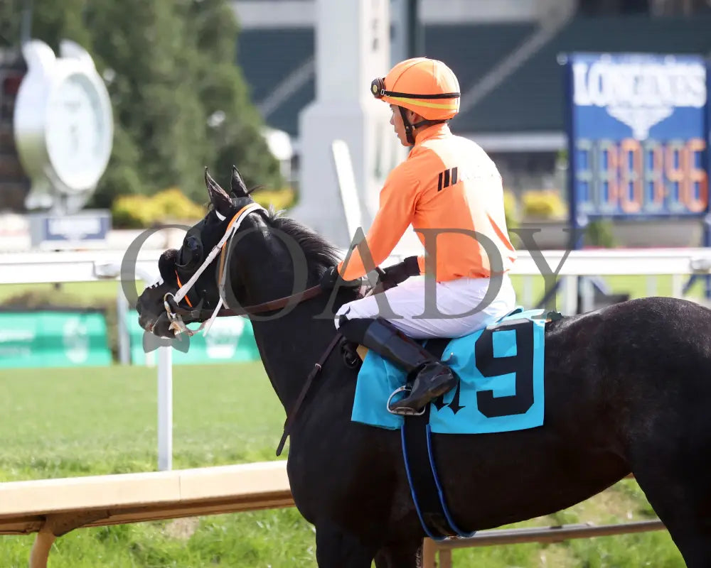 SHISOSPICY - The Mamzelle G3 - 05-10-25 - R10 - CD - Come Back 05 Churchill Downs
