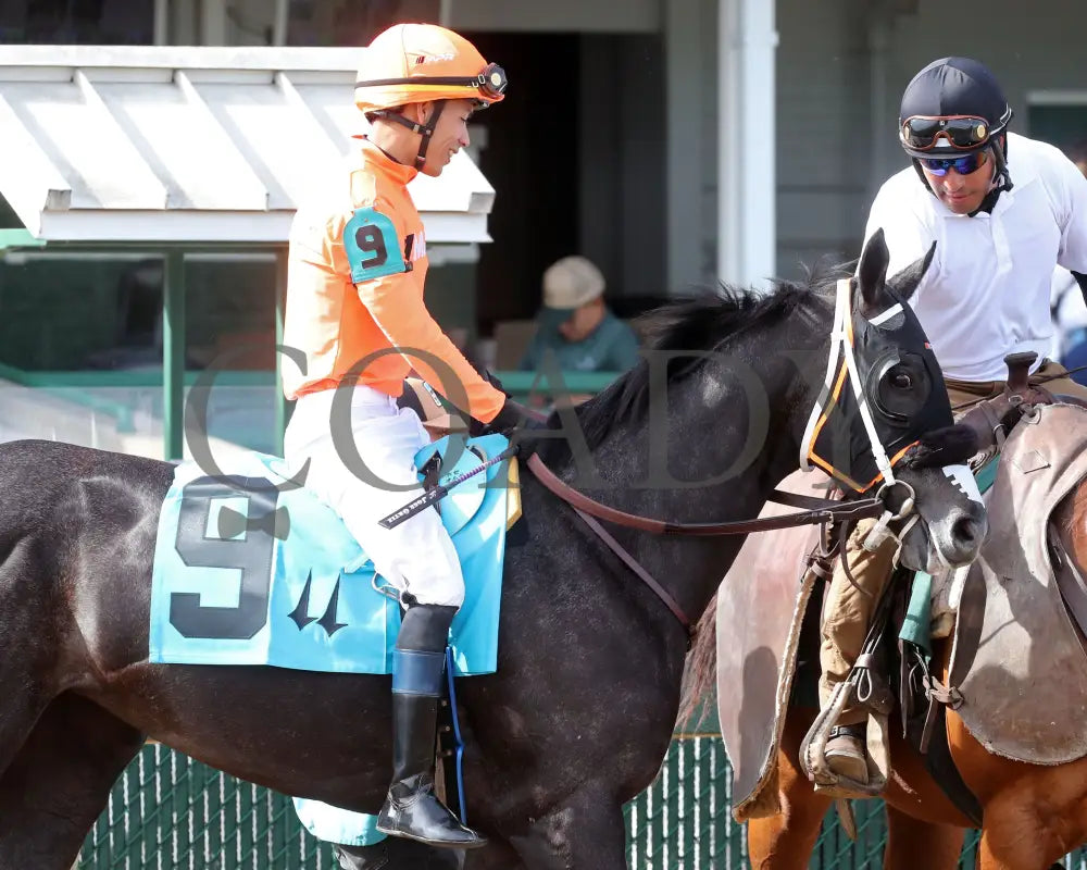 SHISOSPICY - The Mamzelle G3 - 05-10-25 - R10 - CD - Post Parade 01 Churchill Downs