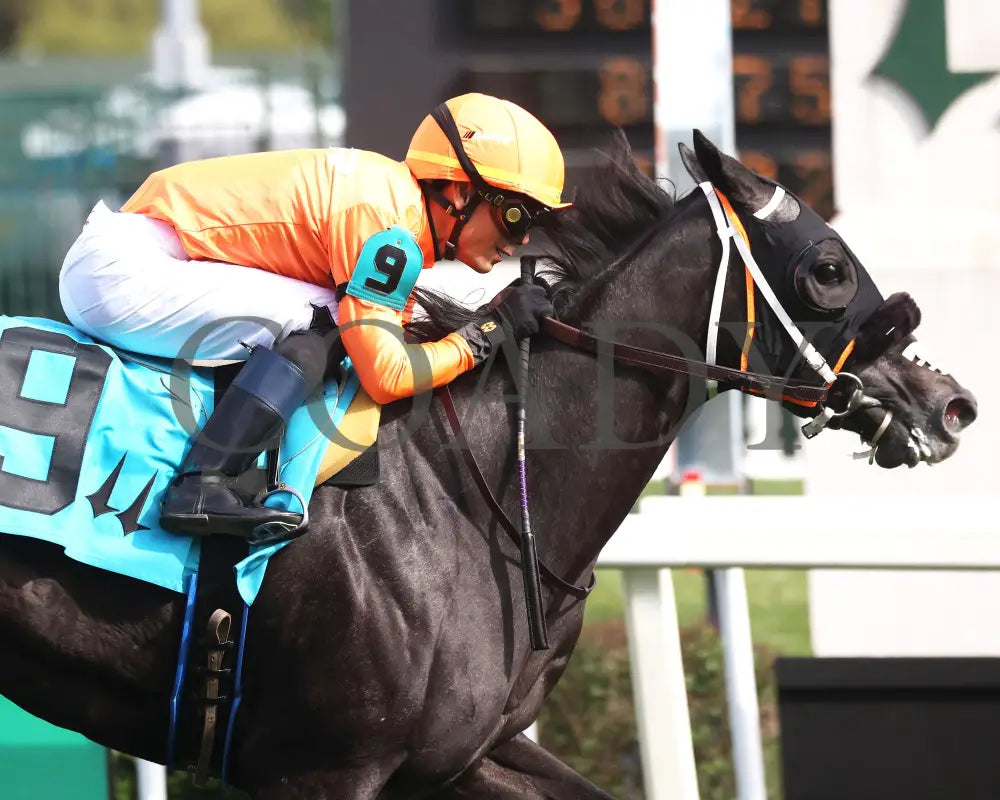 SHISOSPICY - The Mamzelle G3 - 05-10-25 - R10 - CD - Tight Finish 01 Churchill Downs