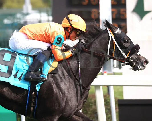 SHISOSPICY - The Mamzelle G3 - 05-10-25 - R10 - CD - Tight Finish 01 Churchill Downs