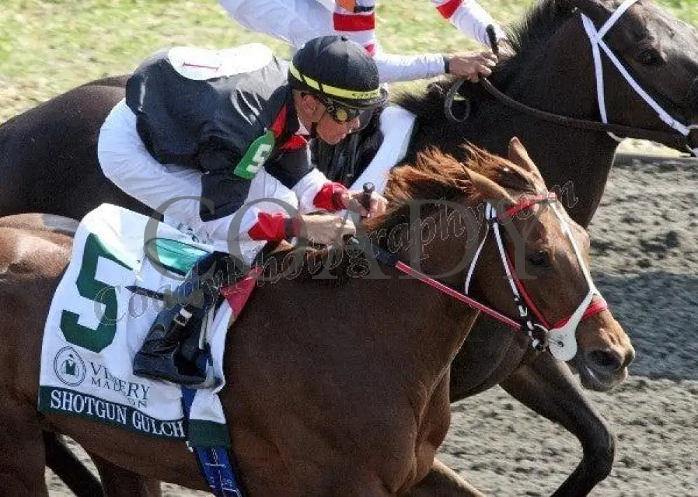 Shotgun Gulch - Aerial The Vinery Madison Gr I Keeneland